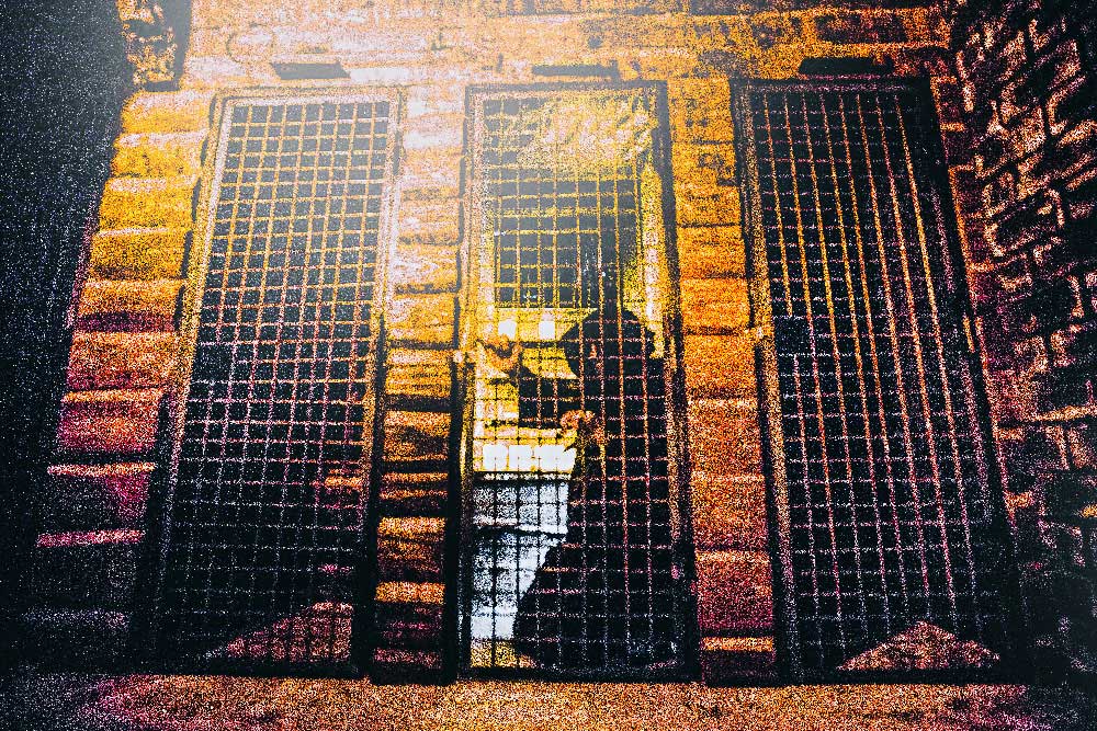 Das Burgverlies – Escape Room bei Unlock Escape München, Eindruck 3
