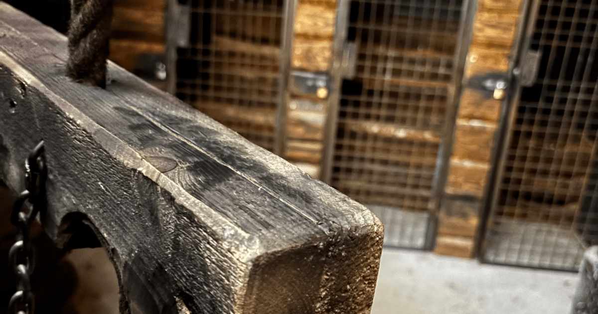 Das-Burgverlies-02-1200x630 Burgverließ Balken